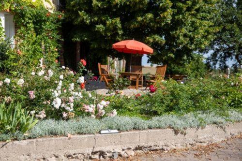 Landurlaub Auf Dem Mellenhof Διαμέρισμα Funkenhagen Εξωτερικό φωτογραφία
